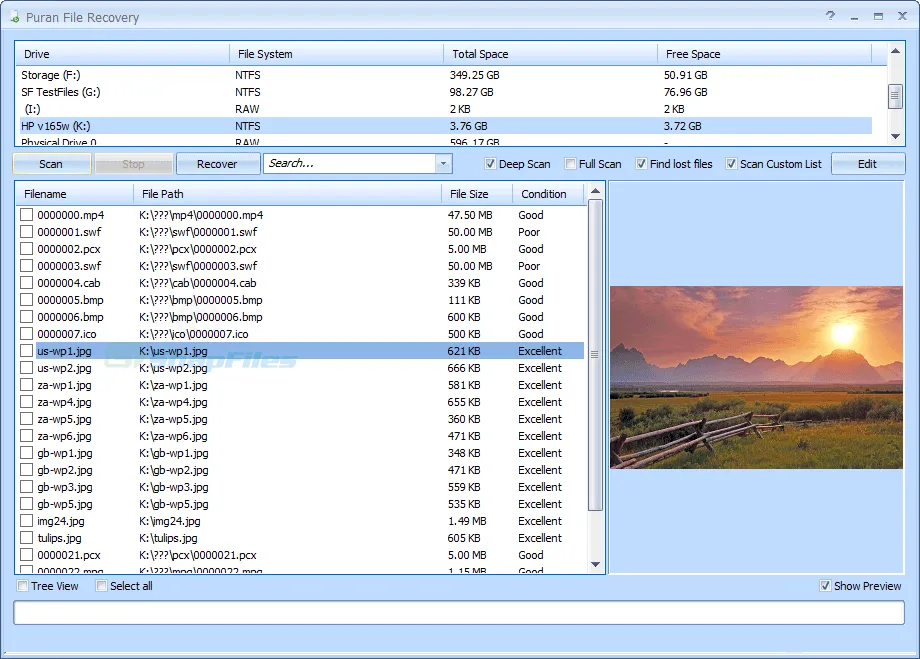 Puran File Recovery Tangkapan layar 1